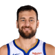 Andrew Bogut
