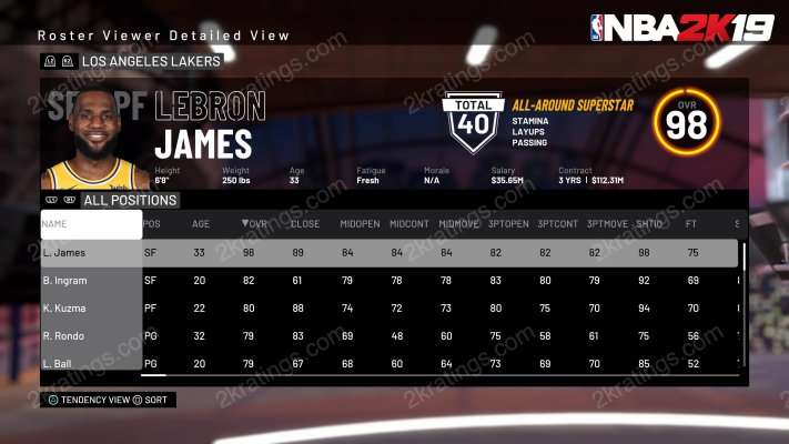 LeBron James on NBA 2K19