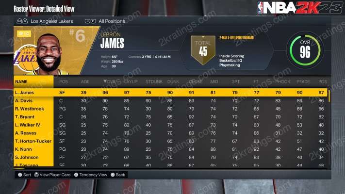 Lebron james 2024 nba 2k20