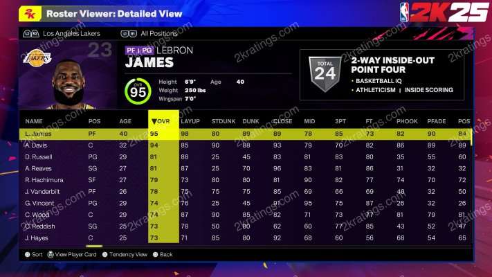 LeBron James on NBA 2K25
