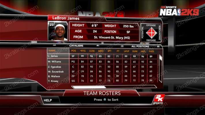 LeBron James on NBA 2K9