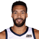 Rudy Gobert